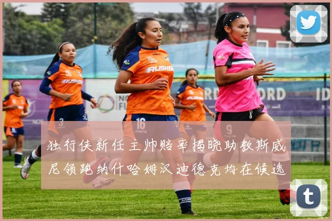 独行侠新任主帅赔率揭晓助教斯威尼领跑纳什哈姆汉迪德克均在候选之中
