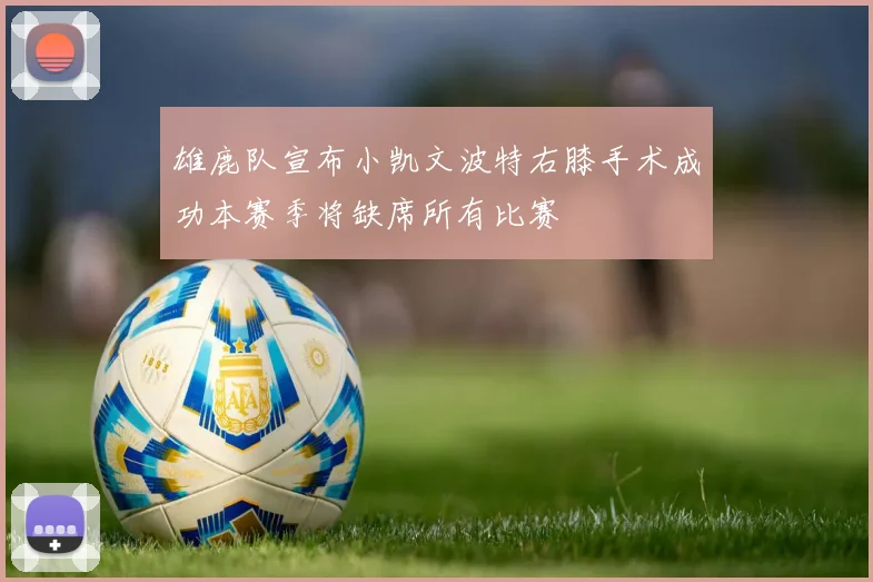 雄鹿队宣布小凯文波特右膝手术成功本赛季将缺席所有比赛